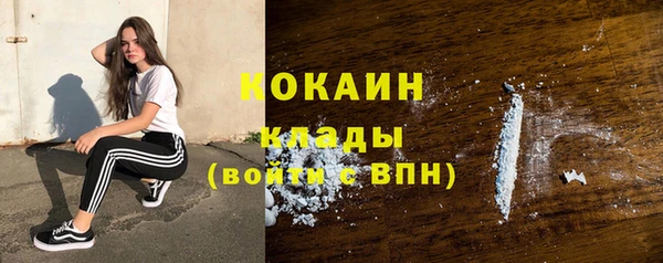 молекула духа Алзамай