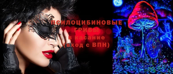 молекула духа Алзамай