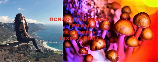 кокс Алексеевка