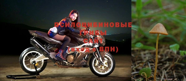 кокс Алексеевка