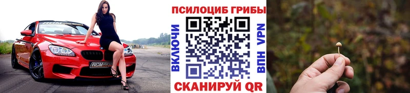купить   Починок  Галлюциногенные грибы ЛСД 